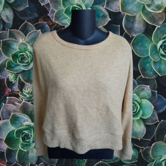 Wild Moss Tops - Soft Yellow Backless Cropped Sweater by Wild Moss